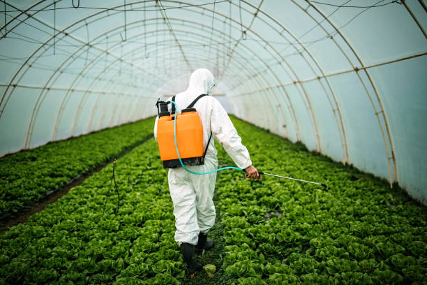 Best Affordable Pest Control Services  in Del Rey Oaks, CA