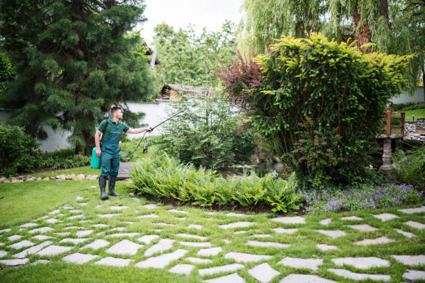 Best Emergency Pest Control  in Del Rey Oaks, CA
