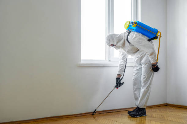 Wildlife Control Services in Del Rey Oaks, CA