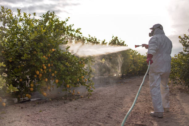 Professional Pest Control in Del Rey Oaks, CA