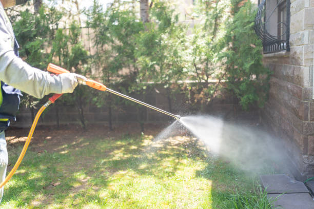 Best Affordable Pest Control Services  in Del Rey Oaks, CA